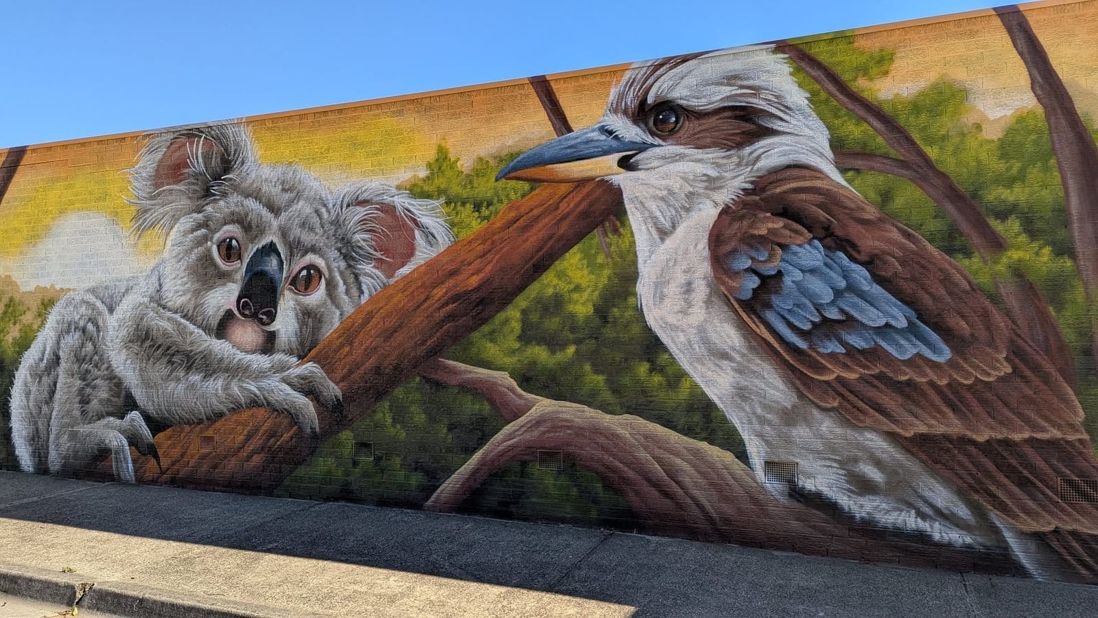 A street mural in Kilsyth of a koala and a kookaburra on a gum branch, painted along a brick wall