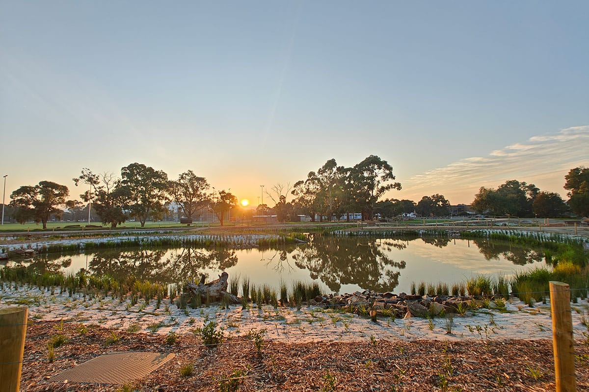 Sunrise over the wetland pond at Gilbert Park, Knoxfield, with gum trees reflected in the water