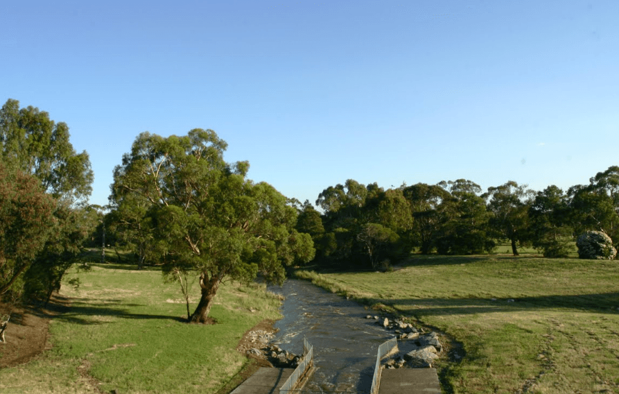 Gum trees and open parkland along a creek in Rowville