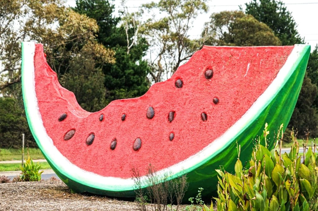 The Big Watermelon, a giant sculpted slice of watermelon, among trees and garden beds in Wantirna South