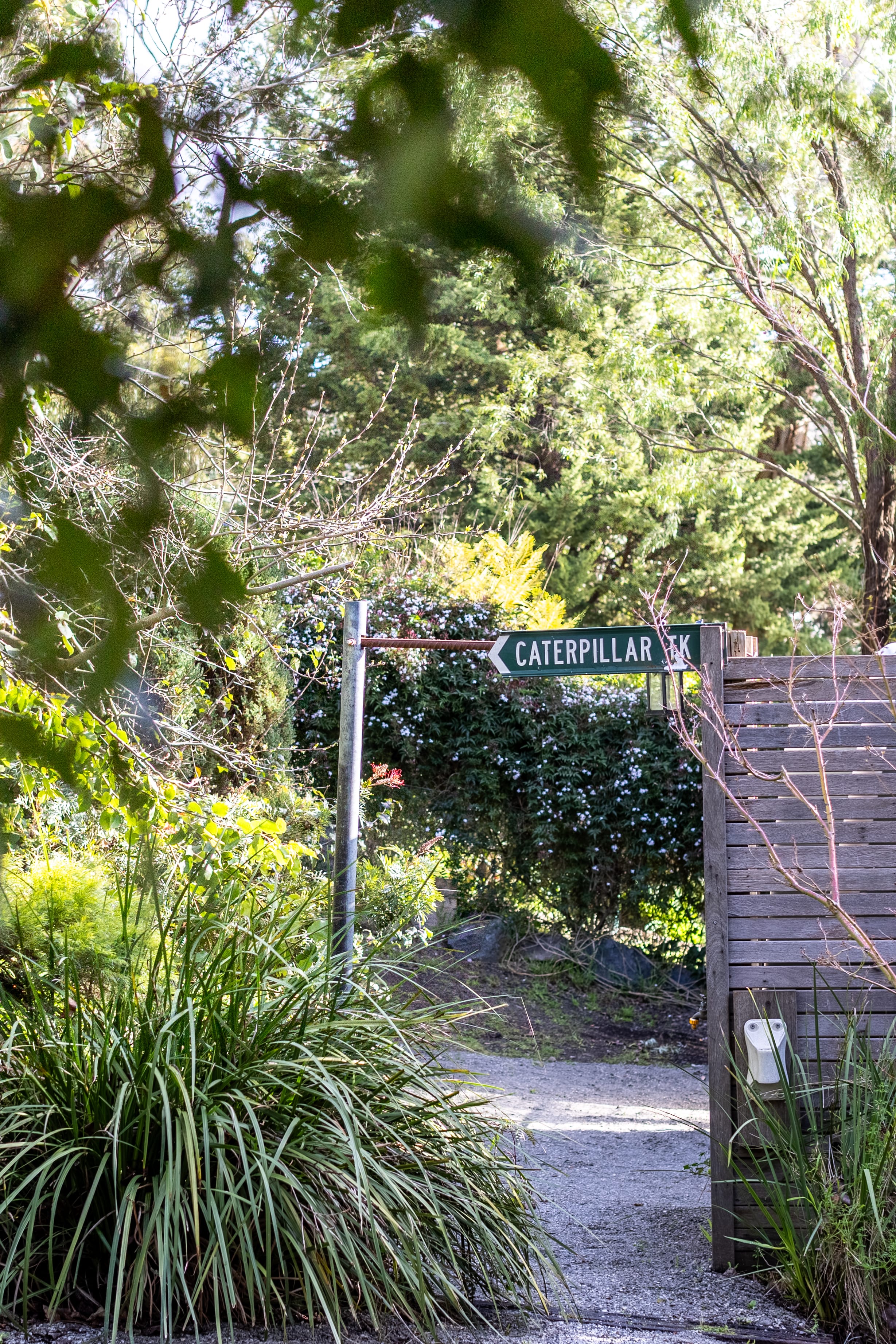 17 Old Forest Road, The Basin — listing photograph 25
