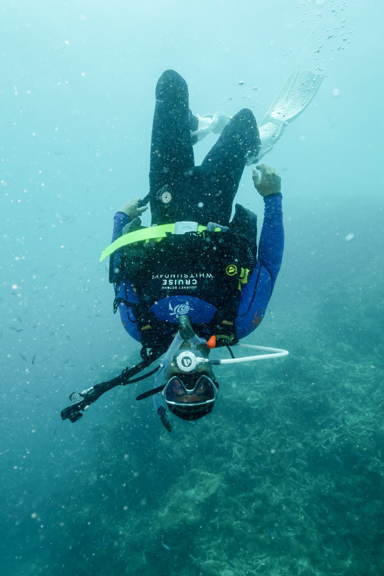 Rohin scuba diving, descending head-first over a reef in blue-green water