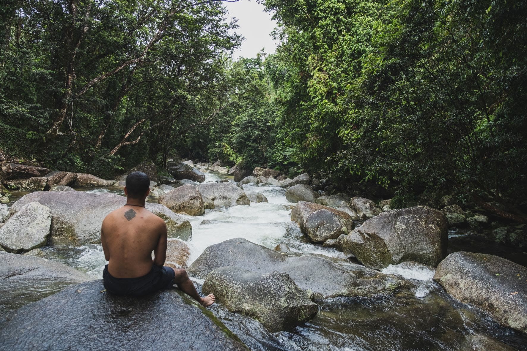 Rohin seen from behind, sitting on a boulder beside a rainforest creek